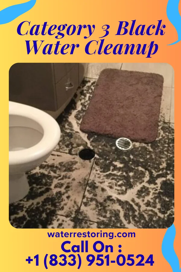 Category 3 Black Water Cleanup in Rutgers University-Busch Campus, NJ