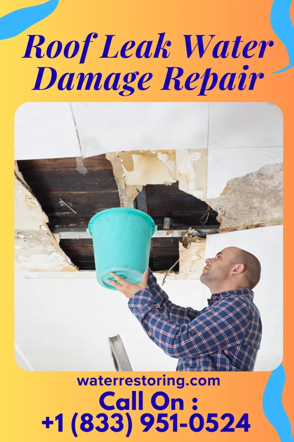 Roof Leak Water Damage Repair in Rutgers University-Busch Campus, NJ